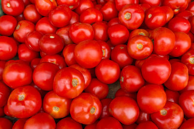 Full frame shot of tomatoes for sale