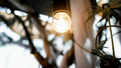 Low angle view of illuminated light bulb hanging from ceiling