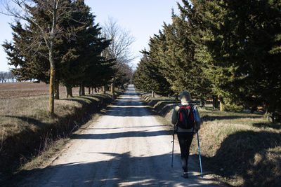 Rear view of man walking on footpath amidst trees