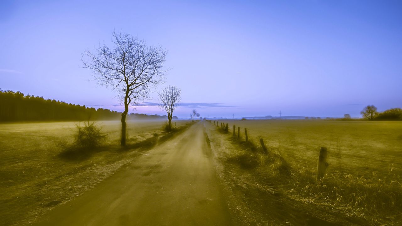 clear sky, nature, tree, beauty in nature, sky, blue, tranquility, tranquil scene, field, scenics, the way forward, outdoors, no people, growth, landscape, day