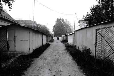 Narrow walkway along trees