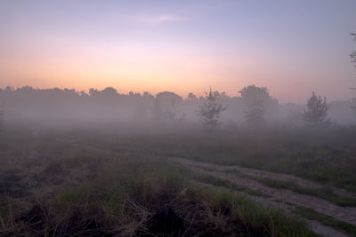 Trees on landscape against sky during sunset