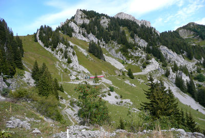 Scenic view of trees and mountains against sky