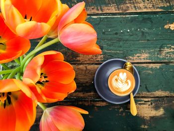 Close-up of orange tulip flowers