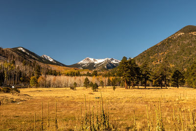 Lockett meadow in flagstaff, arizona during fall season, wide shot