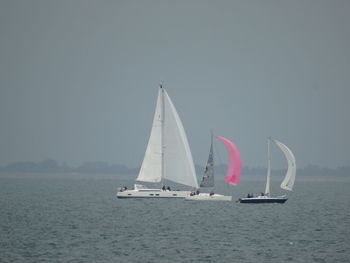 Sailboat sailing on sea against sky
