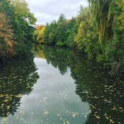 Reflection of trees in lake against sky