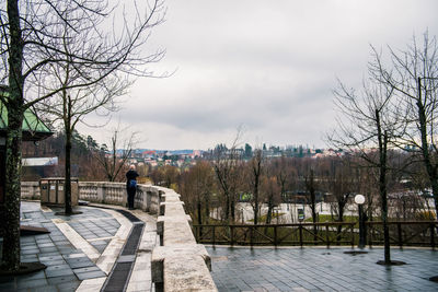 Man on footpath by bare trees against sky