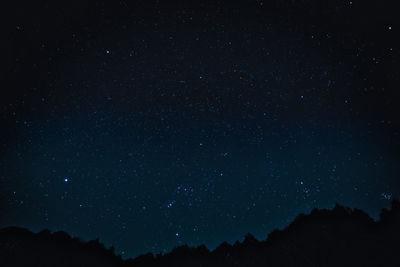 Low angle view of silhouette trees against star field at night