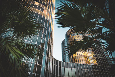 Low angle view of palm trees against building