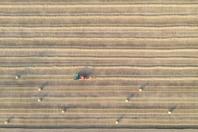 High angle view of wheat harvest on field