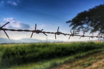 Close-up of barbed wire fence on field against sky