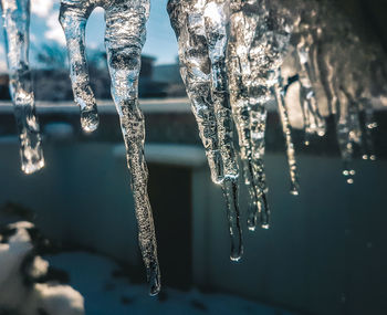 Close-up of frozen water