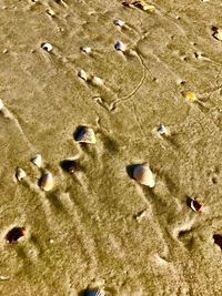 Close-up of footprints on sand at beach