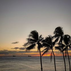 Silhouette coconut palm trees at beach against sky during sunset