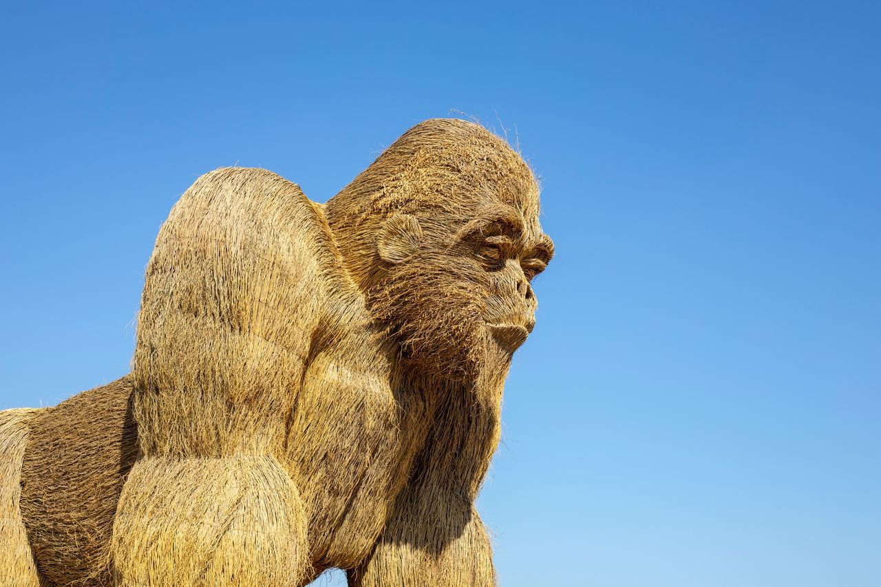 Gorilla sculpture