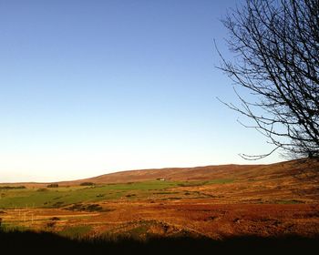 Scenic view of landscape against clear sky