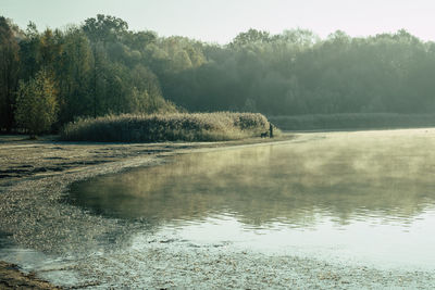 Scenic view of lake in forest against sky