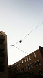 Low angle view of birds flying in sky