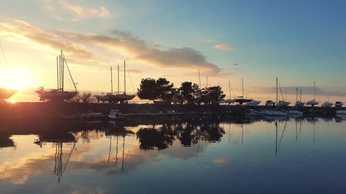 Sailboats in marina at sunset