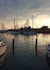 Boats in harbor at sunset