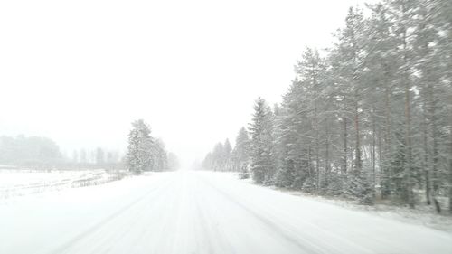 Snow covered road amidst trees against sky