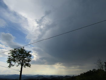 Low angle view of silhouette tree against sky