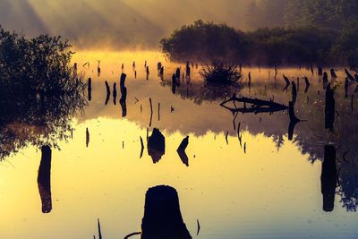 Reflection of silhouette trees on lake against sky during sunset