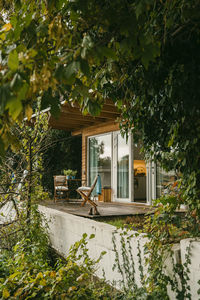 Chairs on wooden porch amidst plants outside house