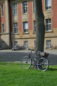 Bicycle parked in front of building