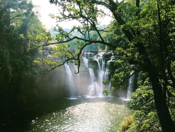 Waterfall with trees in background
