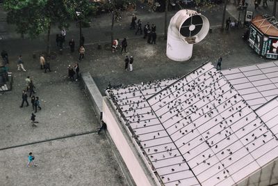 High angle view of birds on roof by people