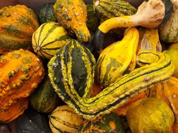 Full frame shot of pumpkins at market stall