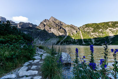 Scenic view of lake against sky