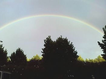 Rainbow over trees against sky