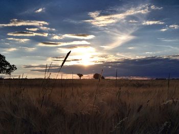 Scenic view of landscape at sunset