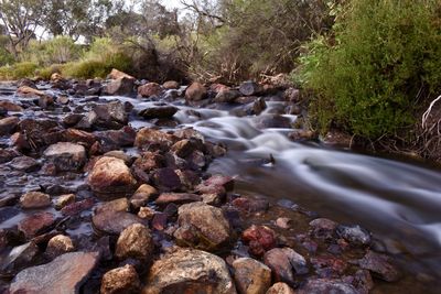 Stream flowing through rocks in forest