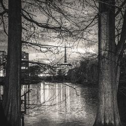 Reflection of bare trees in lake