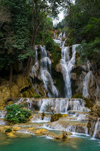 Scenic view of waterfall in forest