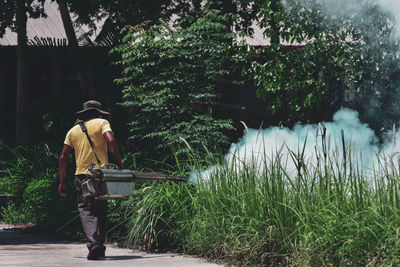 Rear view of man walking by plants