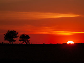 Silhouette trees on field against orange sky