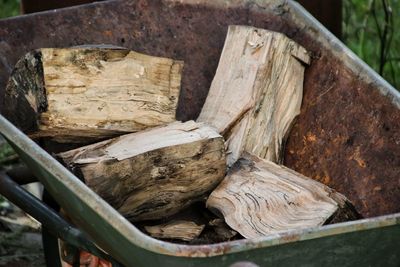 Close-up of logs in forest