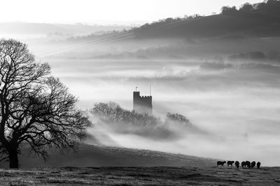 Castle in foggy weather