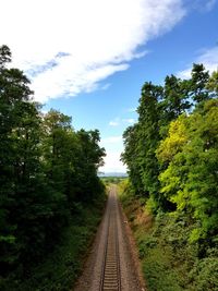 Railway tracks amidst trees against sky