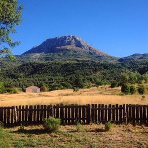 Scenic view of field and mountains against clear sky