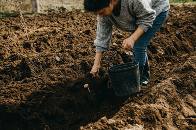 Woman sowing potatoes