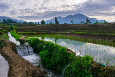 Scenic view of landscape against sky
