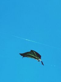 Low angle view of bird flying in sky