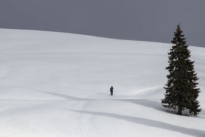 Person skiing on snow covered land