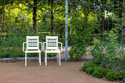 Two white empty iron chairs stand in a deserted park with beautiful flower beds. evening time